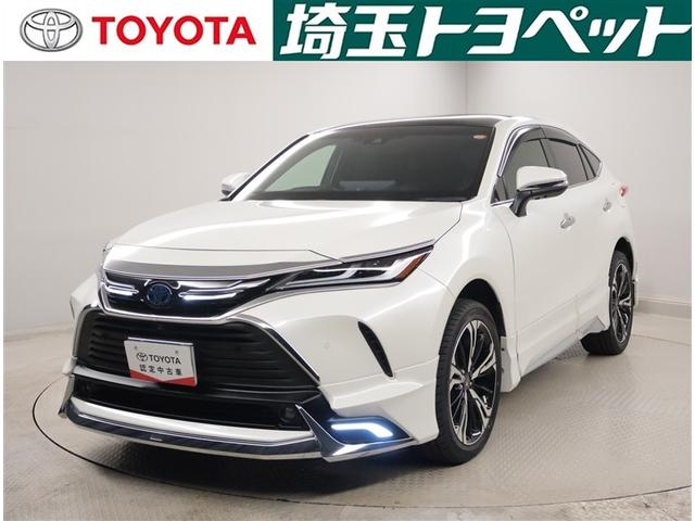 ȥ西 ϥꥢϥ֥å ڡ쥶ѥåʥӣԣ֡