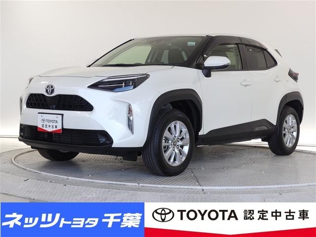 ȥ西 ꥹ ǡ꡼ʥӡХå顡ﳲڸƥ