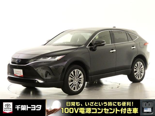 ǧżۣ֡ԥͥȤ̵ǤĺΤϡǯޤǤǤ 1