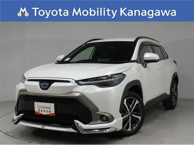 ƥ֤ԲŪʾξΩƥꥢ ȥ西ǧż֡ʡǥꥹģϥ˥ 1