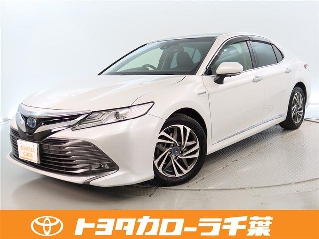 Ͳڸ֥졼ե륻ԣ֡ʥӡãŸɥ饤 1