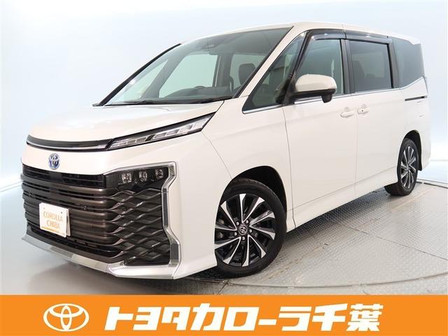 衝突回避軽減ブレーキ　フルセグＴＶ　メモリナビ　ＡＣ１００Ｖ電源　両側パ