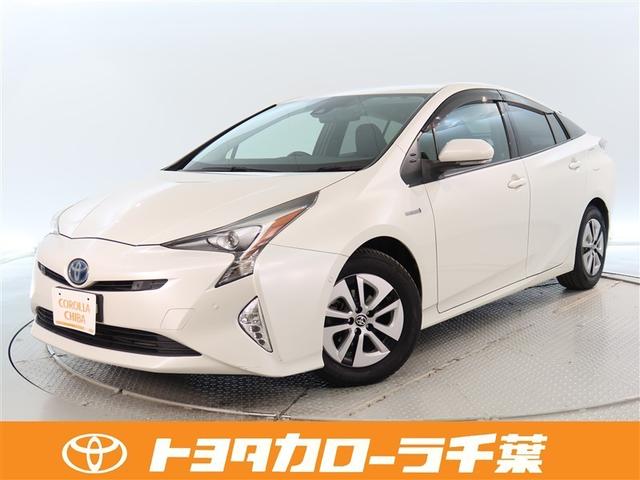 ȥ西 ץꥦ ǯ̵ݾڡڥƧߴְ㤤Ͳﳲڸ