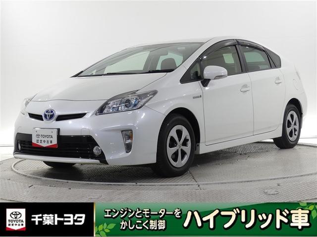 ȥ西 ץꥦ ӡߥۥ롡Ͽ쥹