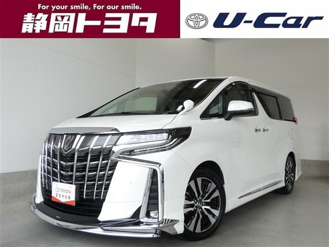 ȥ西 ե ӡåѥåﳲڸƥࡡ꡼ʥ