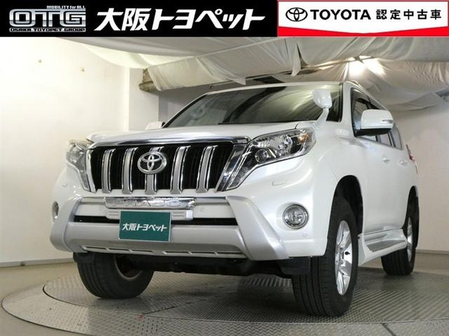 ȥ西 ɥ롼ץ ԣء̥ѥåꥢ顡ޡȥ