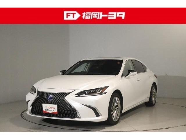 쥯 ţ ţӣ衡С̡ץȡ롼