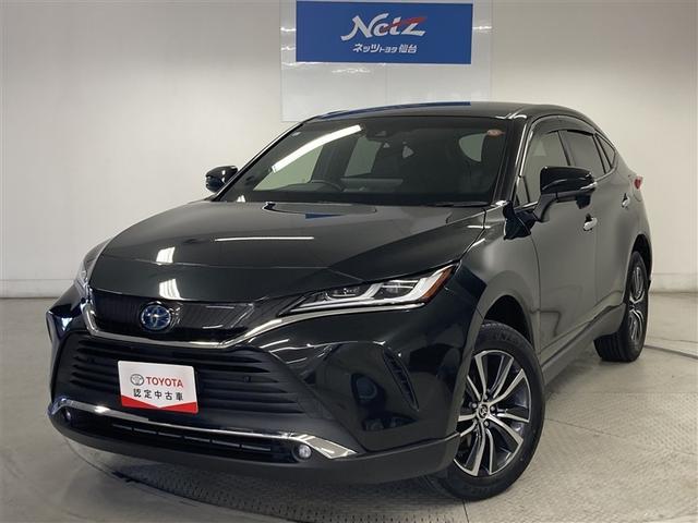 ȥ西 ϥꥢϥ֥å ǡףġե륻꡼ʥ