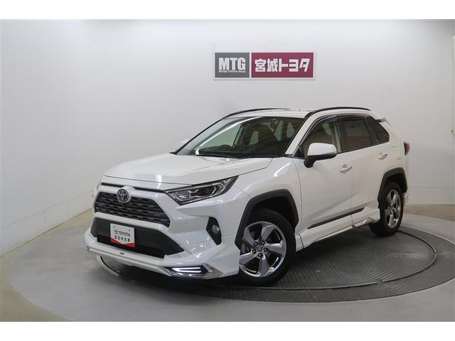 ң֣ ϥ֥åɣǡףġե륻꡼ʥ 0902197A20251106T001 1