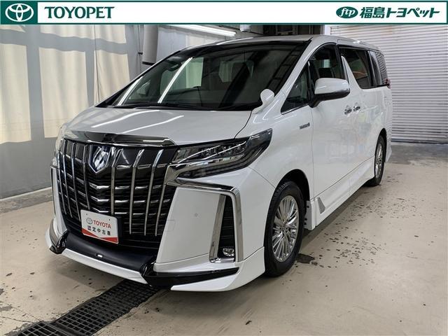 ȥ西 եɥϥ֥å ӣҡ롼աףġ꡼ʥ