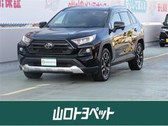 RAV4 アドベンチャー サンルーフ 4WD フルセグ メモリーナビ DVD再生 バックカメラ 衝突被害軽減システム ETC ドラレコ LEDヘッドランプ 中古車画像
