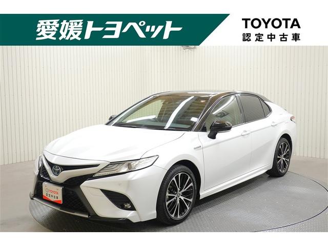 ϻ͹񣴸ˤޤҤΥƥʥ󥹥ѥåΤƤ 1