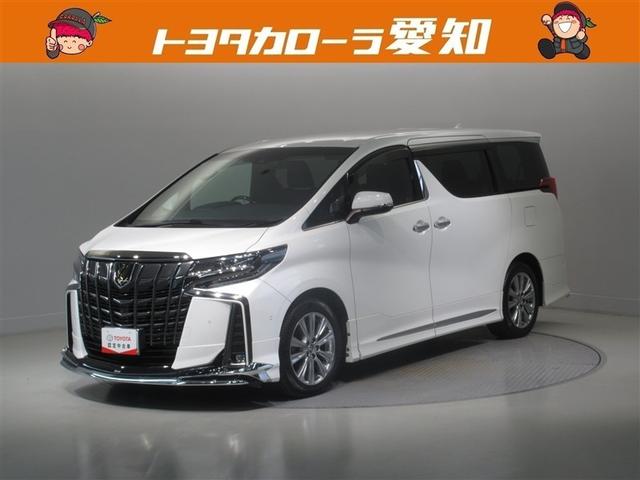 ȥ西 ե ӡץɡﳲڸƥࡡ꡼ʥ