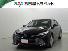 ȥ西ꡡǡﳲڸƥࡡ꡼ʥӡե륻