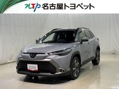 ȥ西饯ڡﳲڸƥࡡե륻Хå