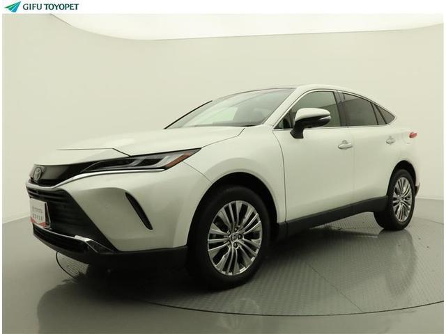 ȥ西 ϥꥢ ڡ쥶ѥåץȡʥӡԣ