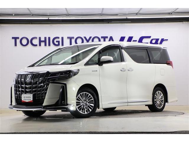 ȥ西 եɥϥ֥å ӣҡåѥå