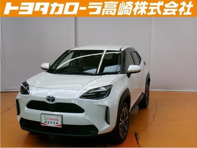 群馬県にお住いの方のみに販売させて頂きます。