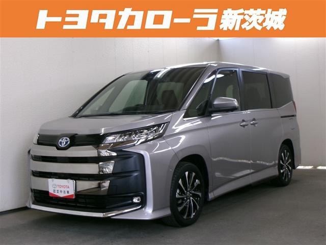 쳤Ź̡ԥͥȥʥӤ̵ǤѤǤ֤ϸ¤Ƥޤ 1