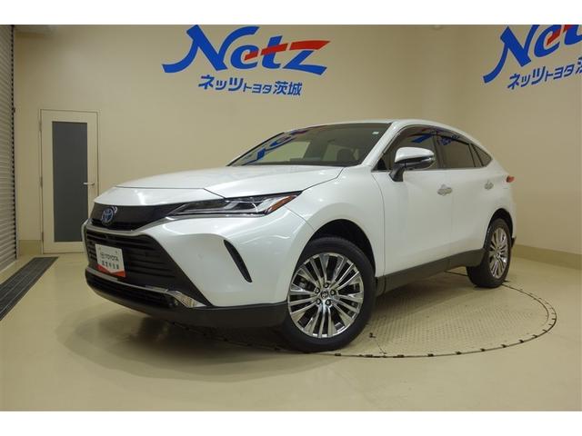 ȥ西 ϥꥢϥ֥å ڡ쥶ѥåϥǥɻ