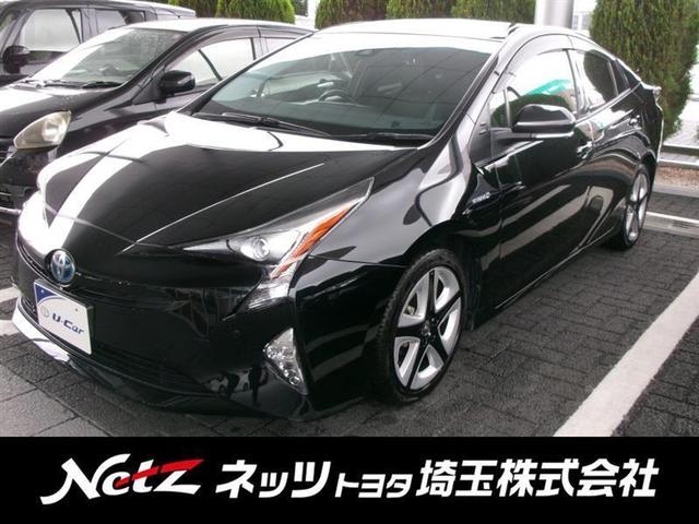 ȥ西 ץꥦ ӥġ󥰥쥯󡡥졼֥졼ݡȡե륪ȥ󡡥ǥ奢륨Хå