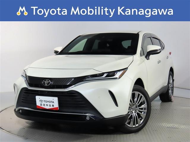 ʥƥꥢΥϥꥢʣ£̥ʥӡȣգġĥʡ 1