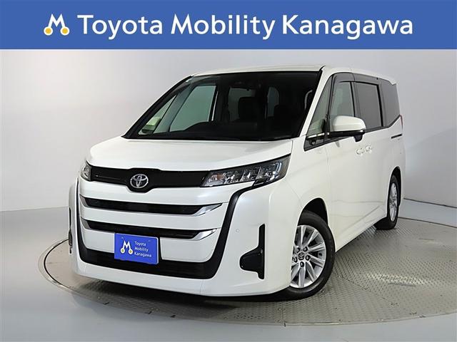 ʥ˥ĹΥɥ饤֤ڤΥͥƥåɥʥ 1