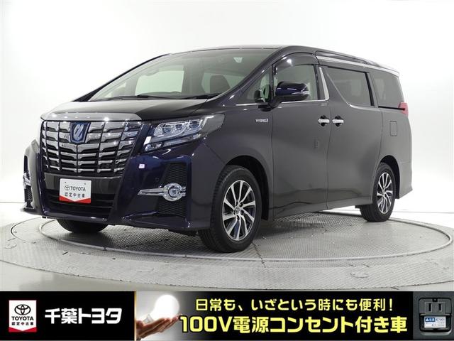 ȥ西 եɥϥ֥å ӣҡåѥåŸߥ塼åץ쥤䡼³