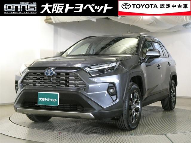 ȥ西 ң֣ ϥ֥åɣǡﳲڸ֡ɥ饤֥쥳Хå˥