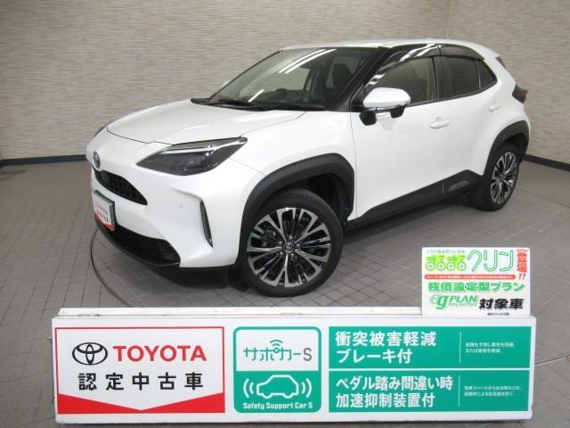 Ũʥ饤դҤΥȥ西ǧż֤ǡ Ȥ곰ƥǴݤԤäƤޤ 1