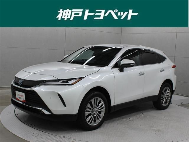 ȥ西 ϥꥢϥ֥å ڡե륻꡼ʥӡߥ塼åץ쥤䡼³