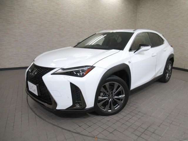 Ũʥ饤դҤΥȥ西ǧż֤ǡ ʼ˸ꡣȤ곰ƥǴݻͤǤ 1