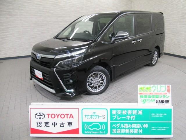 Ũʥ饤դҤΥȥ西ǧż֤ǡ ȥ西եƥդƤޤ 1