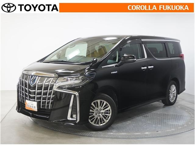 ȥ西 եɥϥ֥å ӣҡﳲڸƥࡡףġξ¦ư饤