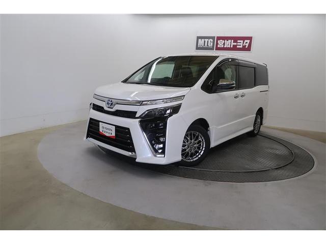  ϥ֥åɣڣӡɣɣɡﳲڸƥࡡʥӡԣ 0900440A20251107T001 1