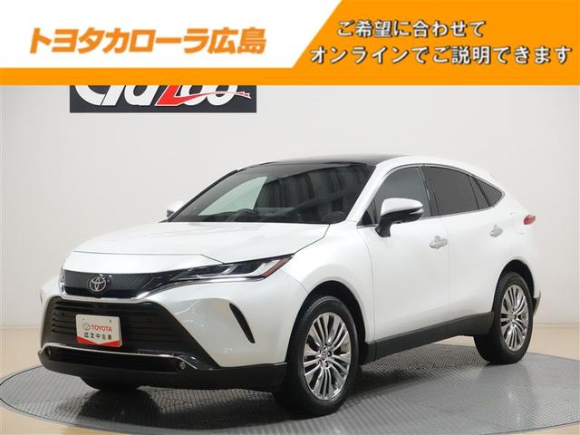 ڣԣ̵ۣ̣֡ţĥإåɥ饤ȡߡ롼 1