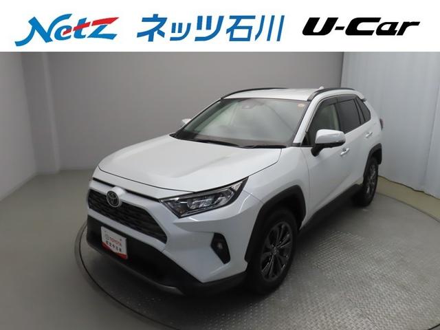 ȥ西 ң֣ ǡףġե륻꡼ʥ