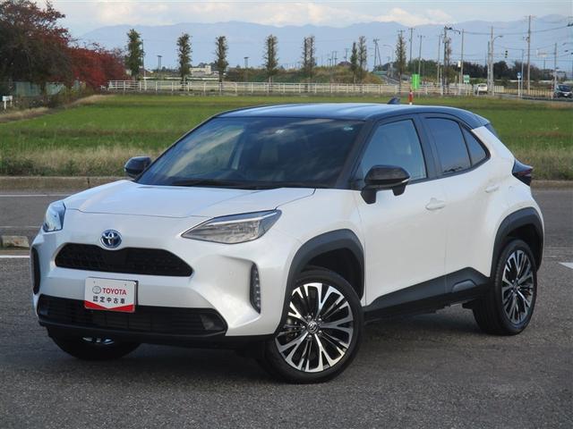 ディスプレイオーディオ（ナビ無・テレビ無）　バックモニター　ＬＥＤヘッド