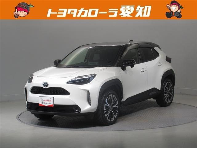 ꥹ ڡﳲڸƥࡡ꡼ʥӡХå 0200704A20251108T004 1