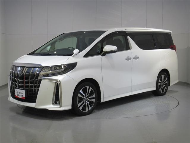 ȥ西 ե ӡåѥåģ֣ĺߥ塼åץ쥤䡼³