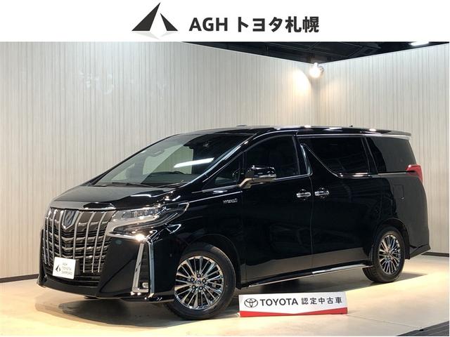 եɥϥ֥å ƥ֥饦󥸣ӡ̣ţĥסϡ롼 0300685A20251108T002 1