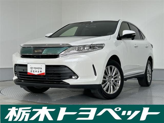 ȥ西 ϥꥢ ץߥࡡ᥿롡ɡ쥶ѥå