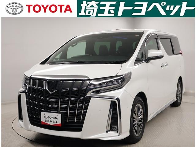 ȥ西 ե ƥ֥饦󥸣ӡѥΥޥ롼աХå˥쥶