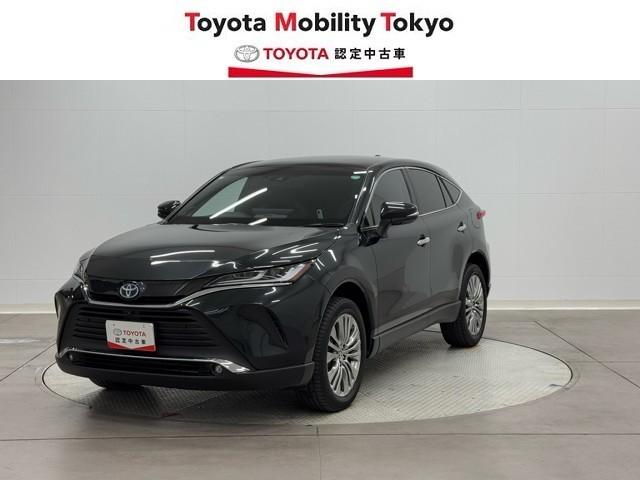 ȥ西 ϥꥢϥ֥å ڡ쥶ѥåѥΥޥ롼աϥǥ