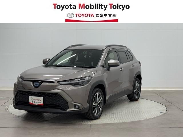 ˭٤ʼּӥʻŹ¿Σ̤褤 ̡ա롦ؤ˸¤餻ĺƤޤ 1