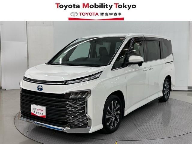 ȥ西  ϥ֥åɣӡݣڡѥɥģ֣ĺǽƥꥭ