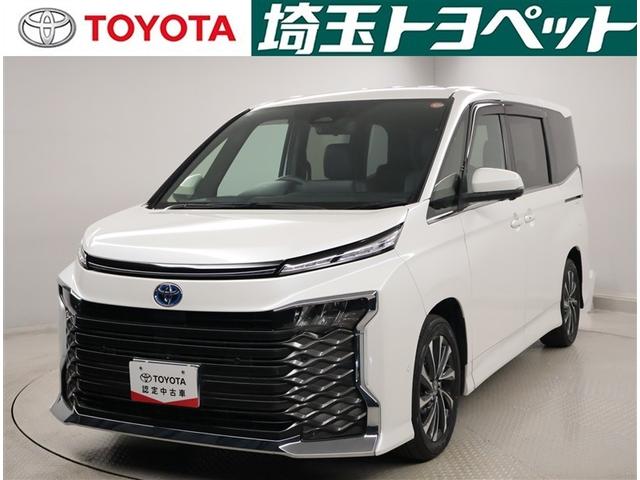 ȥ西  ϥ֥åɣӡݣڡѥɥģ֣ĺǽƥꥭ