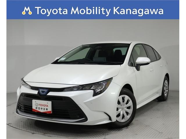 ȥ西  ϥ֥åɡǡȥ西ǧż֡ǥץ쥤ǥ