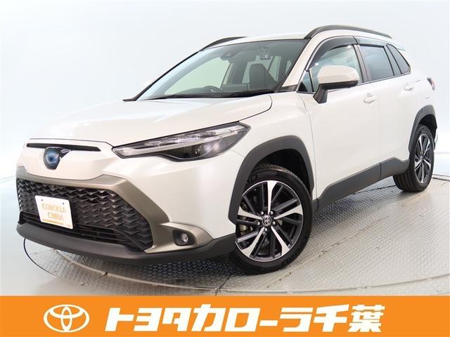 ֳǧˤŹĺؤȤƤƤޤ 1