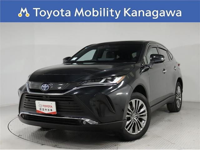 ȥ西 ϥꥢϥ֥å ڡ쥶ѥå